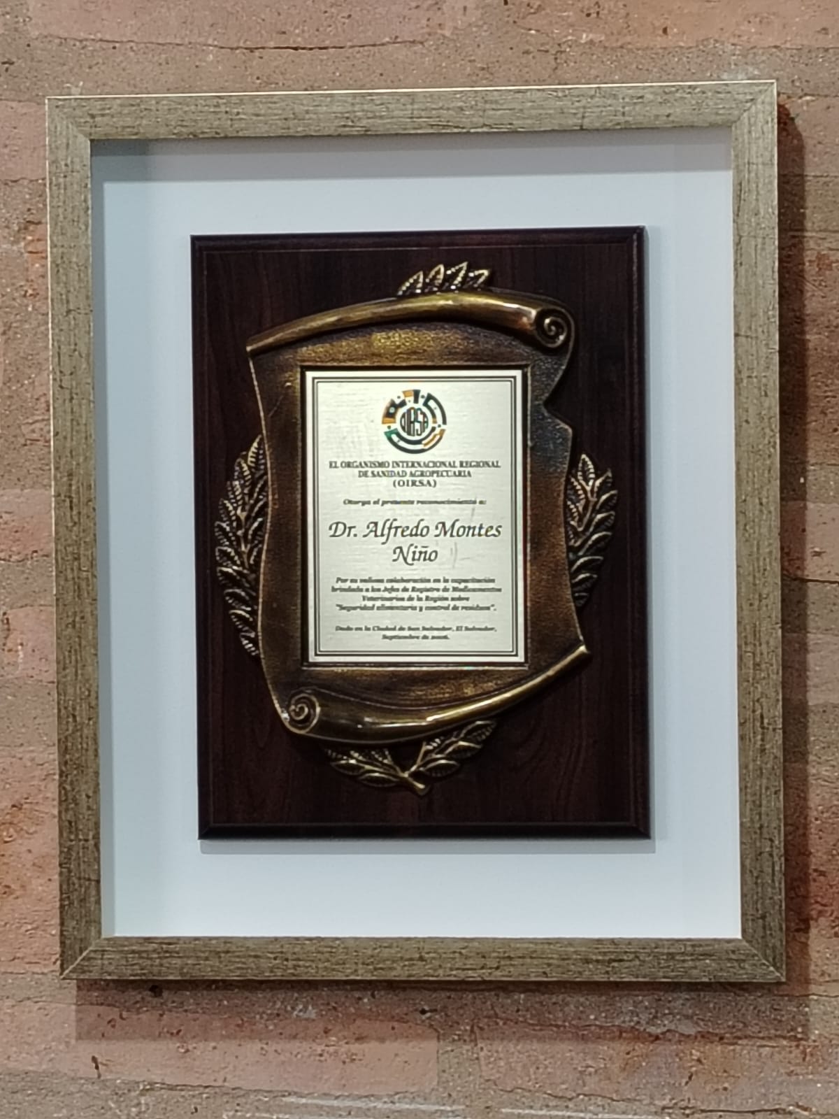 Reconocimiento institucional con marco en madera lustrada.